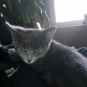 Meet your Posher, Danny